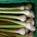 Produktbilde