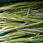 Produktbilde