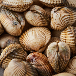 Produktbilde