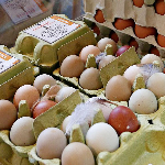 Produktbilde